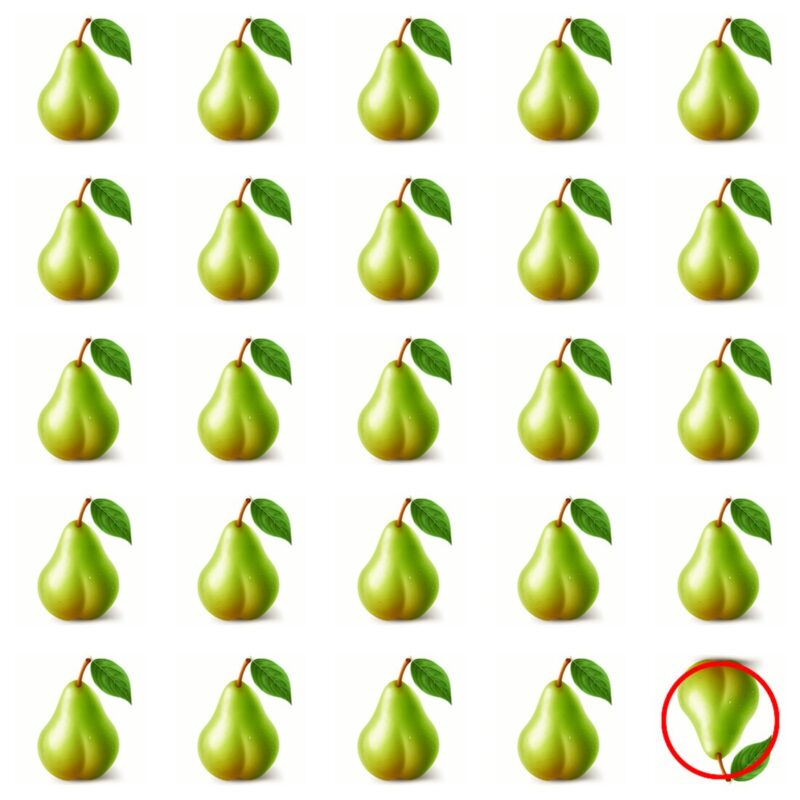 Picture Quiz 1 solution