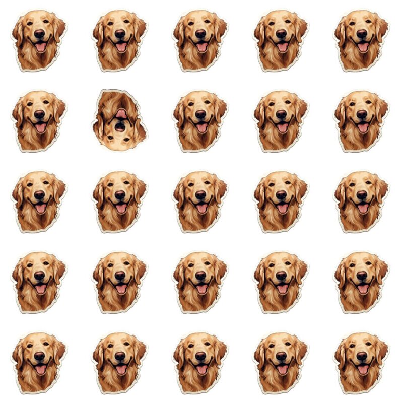 Picture Quiz 1