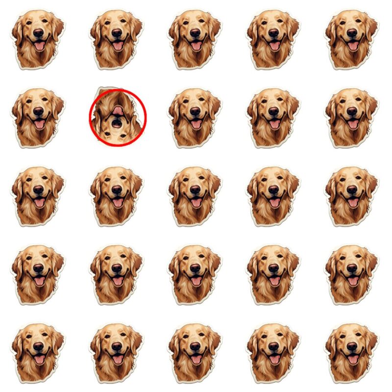 Picture Quiz 1 solution
