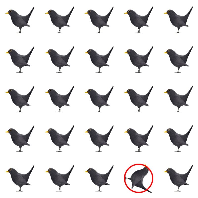 Picture Quiz 1 solution