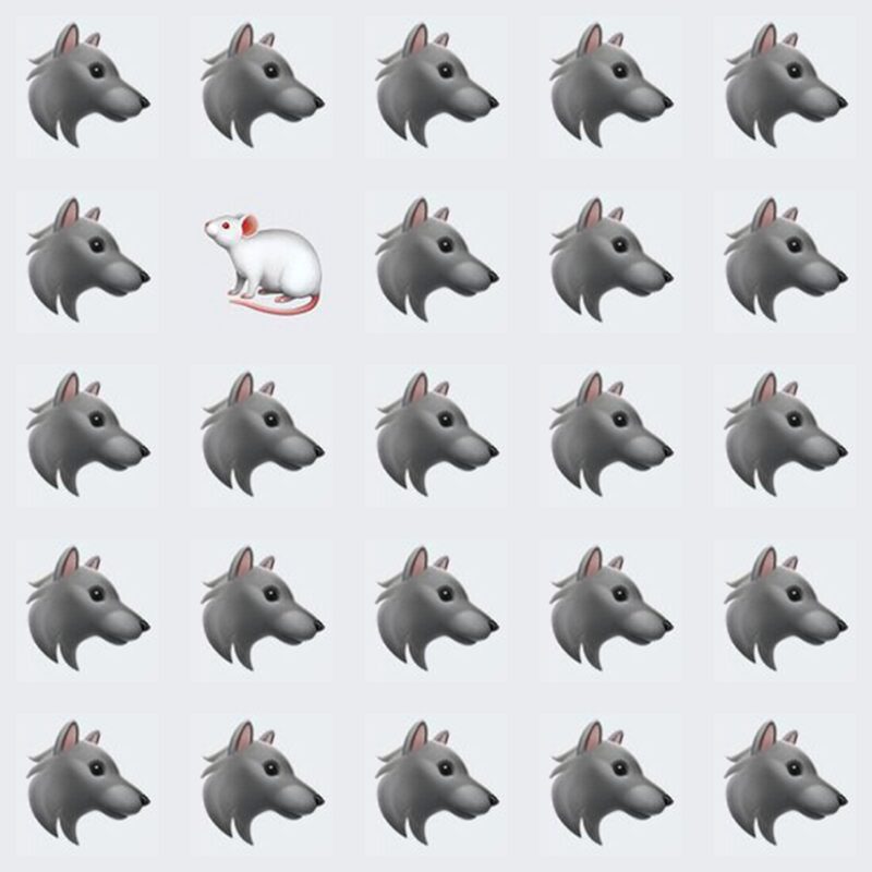 Picture Quiz 1