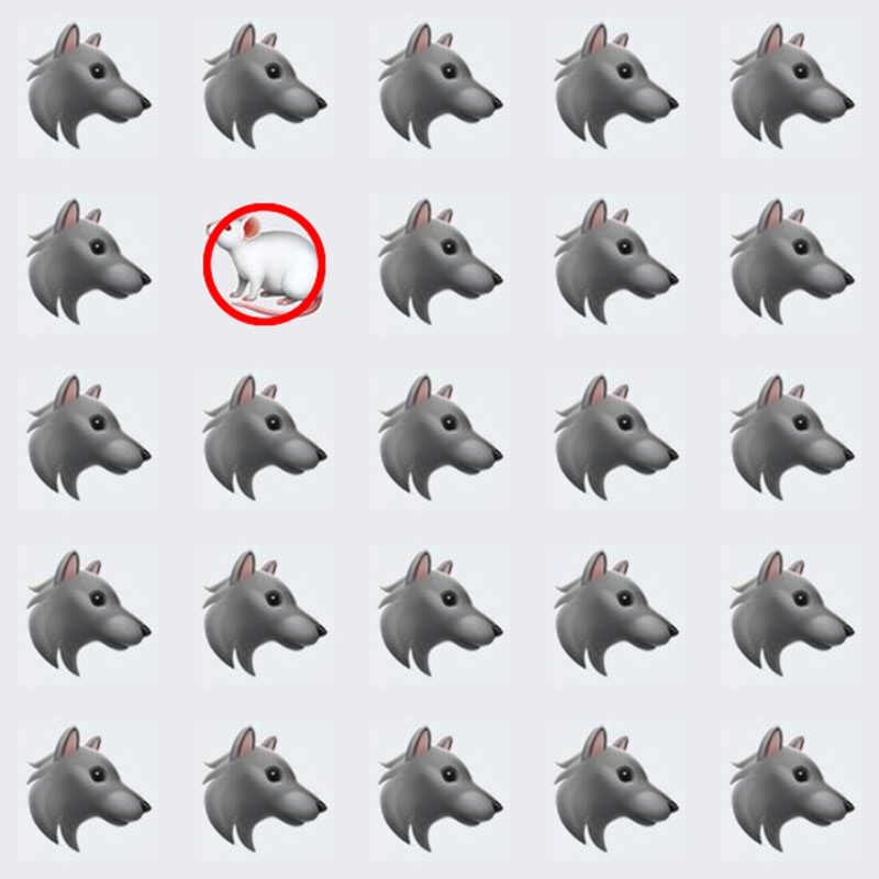 Picture Quiz 1 solution