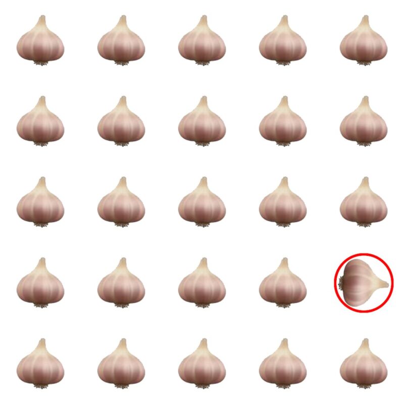 Picture Quiz 1 solution