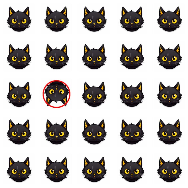 Picture Quiz 1 solution