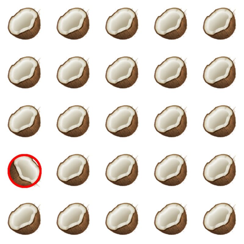 Picture Quiz 1 solution
