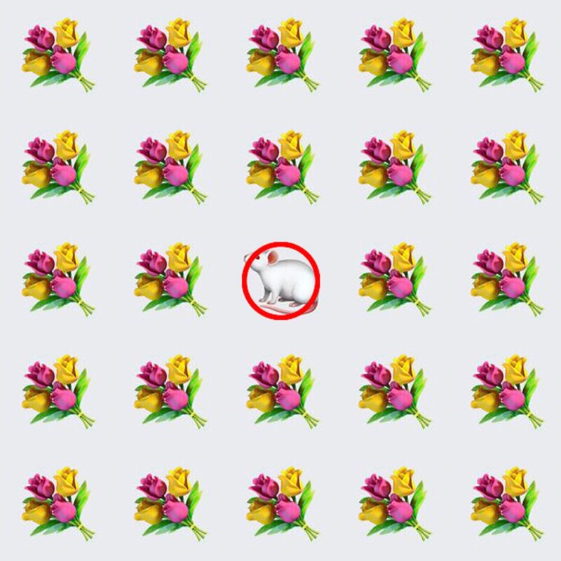 Picture Quiz 1 solution