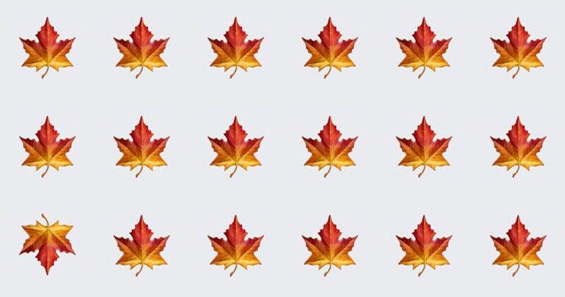 Only Special Few People Can Ace This Odd One Out Visual Test