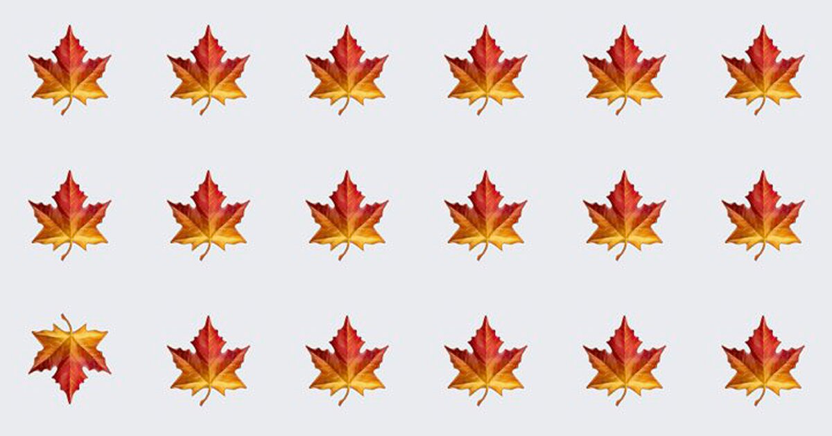 Only Special Few People Can Ace This Odd One Out Visual Test