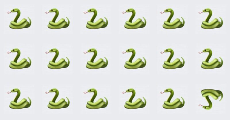 Spot The Odd One Quiz – Can You Spot The Difference?