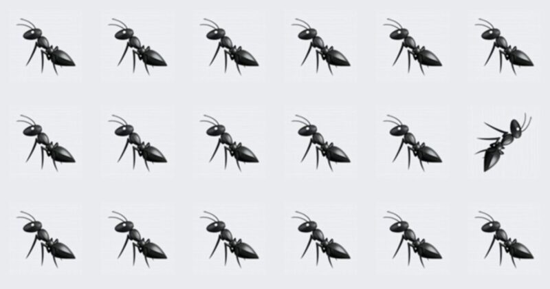 Only People With An Unusually High IQ Will Be Able To Ace This Odd One Out Visual Test! How About You?