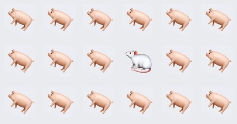 Spot The Odd One – Are You Up For The Challenge?