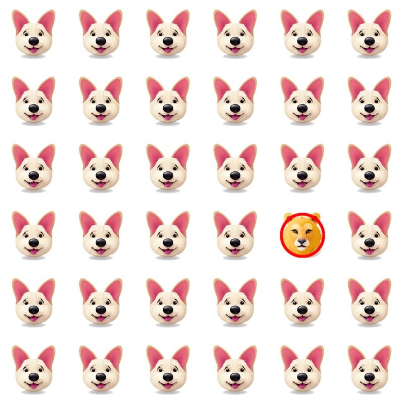 Picture Quiz 2 solution