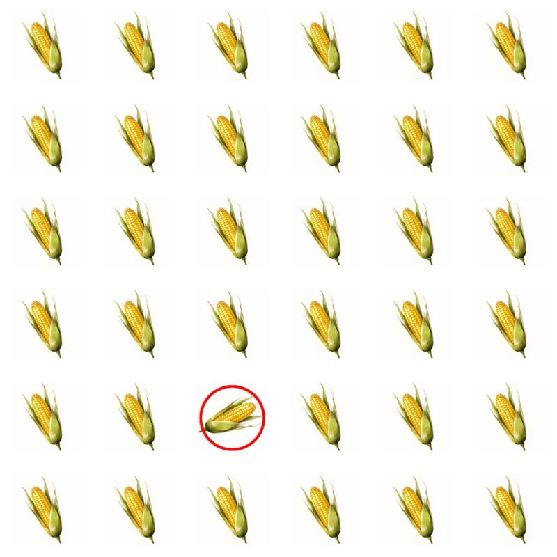 Picture Quiz 2 solution