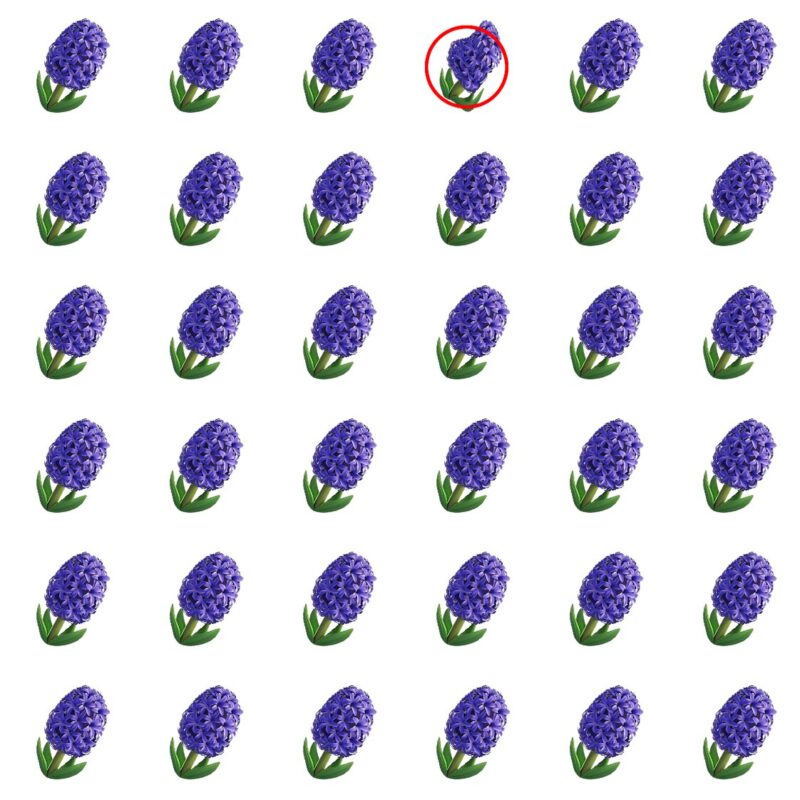 Picture Quiz 2 solution
