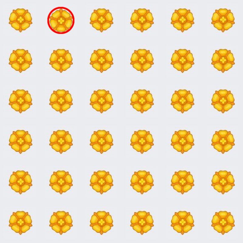 Picture Quiz 2 solution