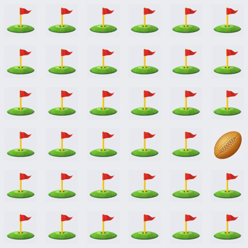 Picture Quiz 2