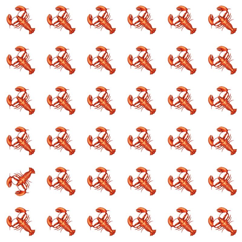 Picture Quiz 2