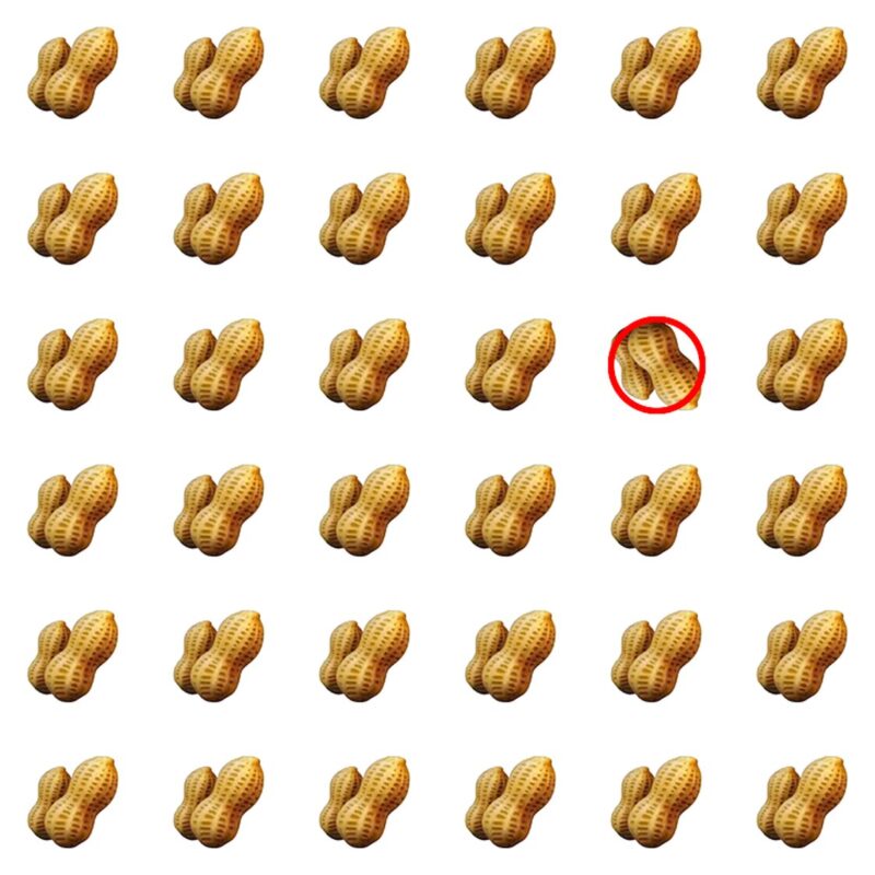 Picture Quiz 2 solution