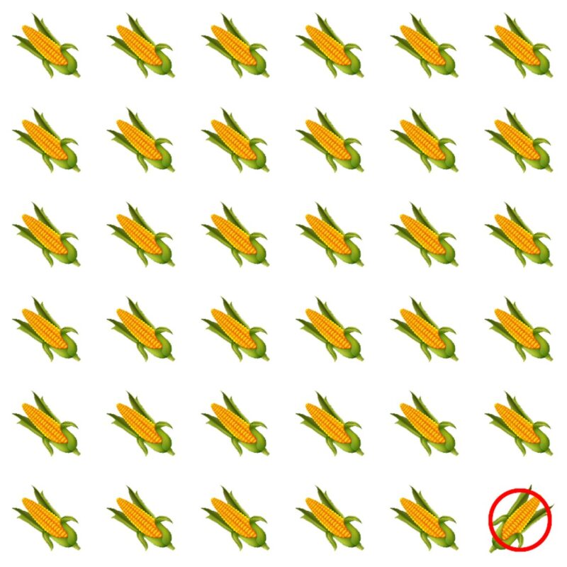 Picture Quiz 2 solution