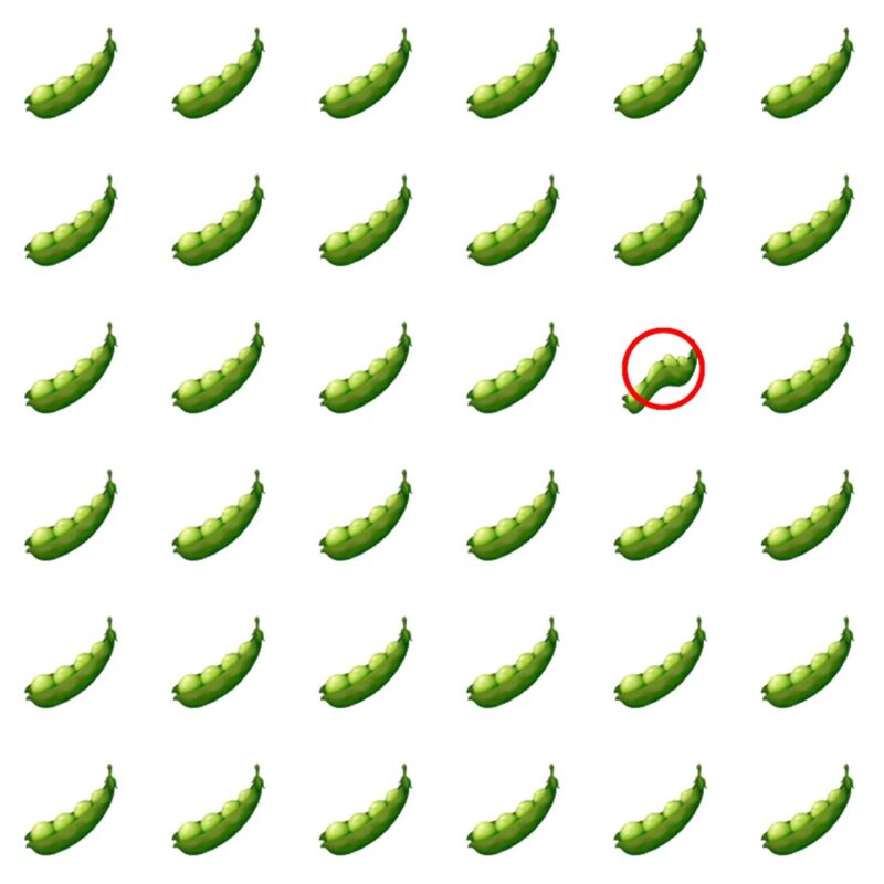 Picture Quiz 2 solution