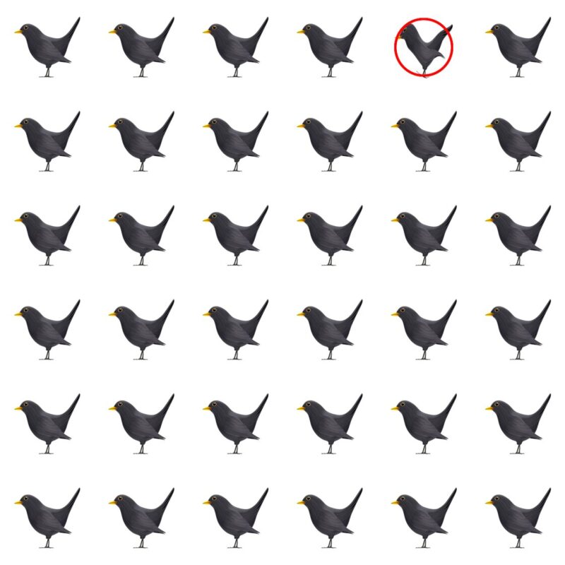 Picture Quiz 2 solution