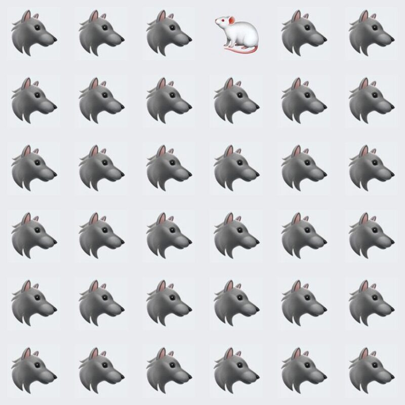 Picture Quiz 2