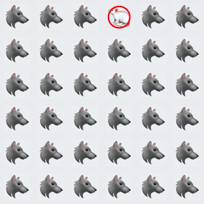 Picture Quiz 2 solution