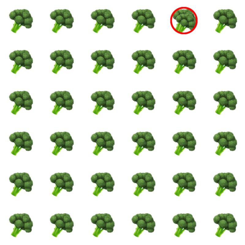 Picture Quiz 2 solution