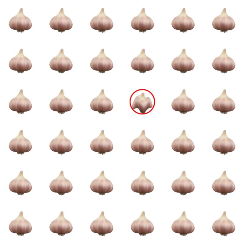 Picture Quiz 2 solution