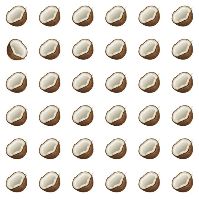 Picture Quiz 2