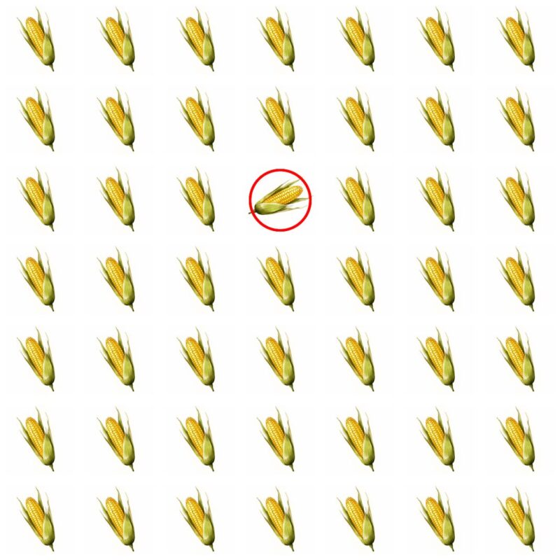Picture Quiz 3 solution
