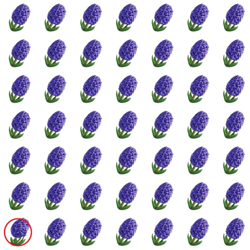 Picture Quiz 3 solution
