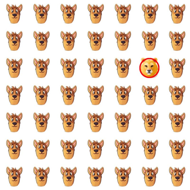 Picture Quiz 3 solution