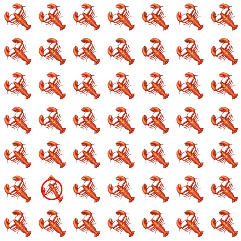 Picture Quiz 3 solution