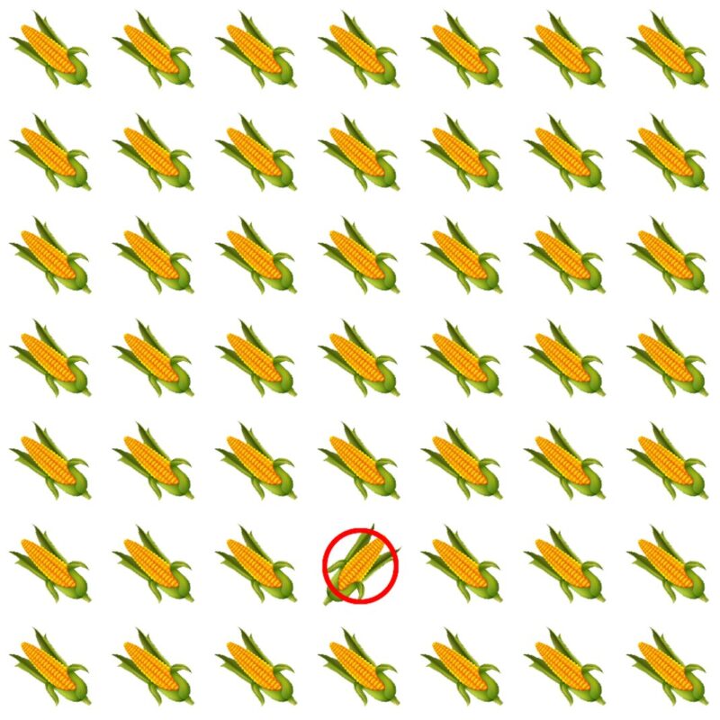 Picture Quiz 3 solution