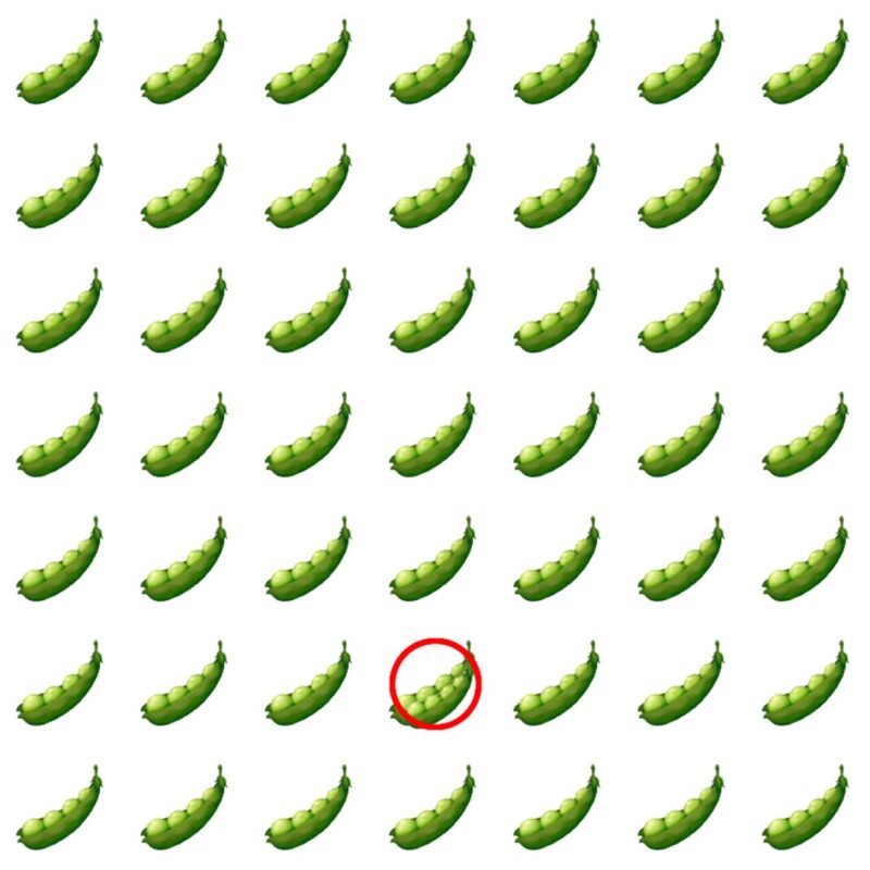 Picture Quiz 3 solution