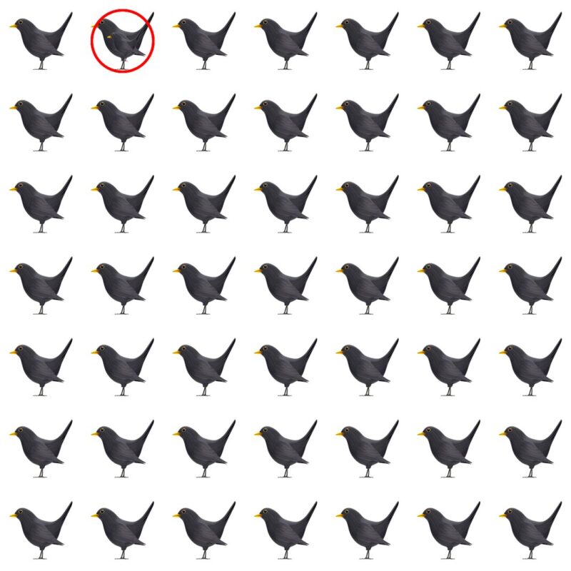 Picture Quiz 3 solution