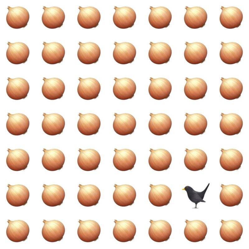 Picture Quiz 3
