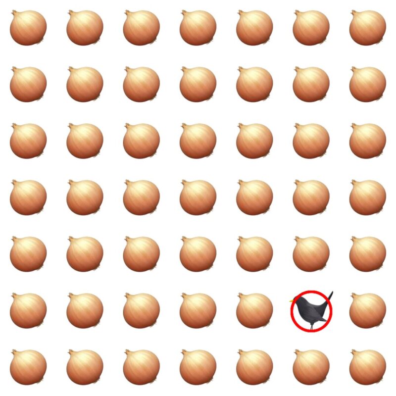 Picture Quiz 3 solution