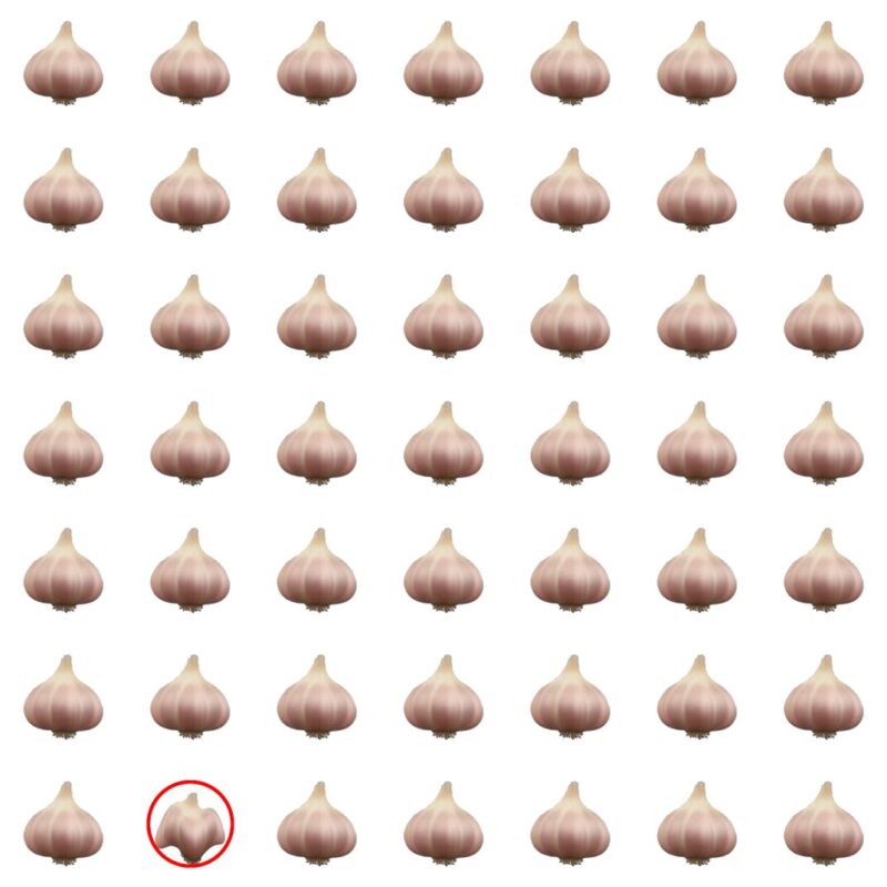 Picture Quiz 3 solution