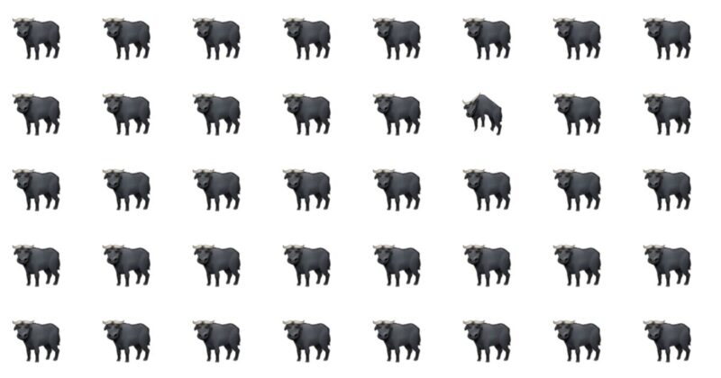 Spot The Odd One – A Game For Puzzle Champions!