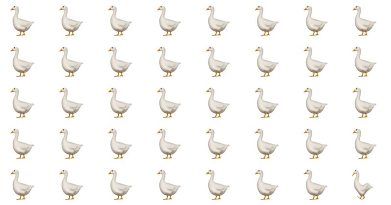 Only High IQ Individuals Complete This Puzzle In Under 10 Seconds