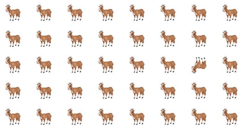 Odd One Quiz – Only 1% Can Beat The Score!