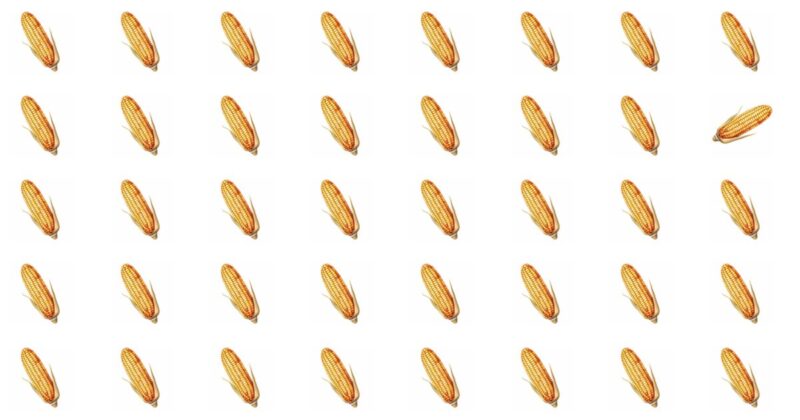 People Are Saying Ace This Odd One Out Visual Test