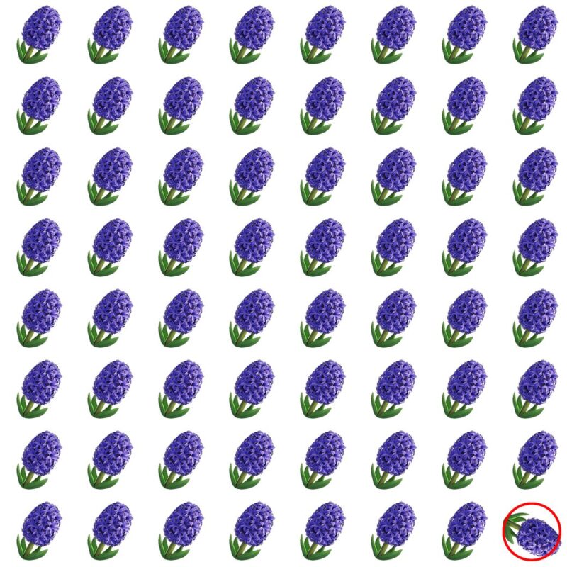 Picture Quiz 4 solution