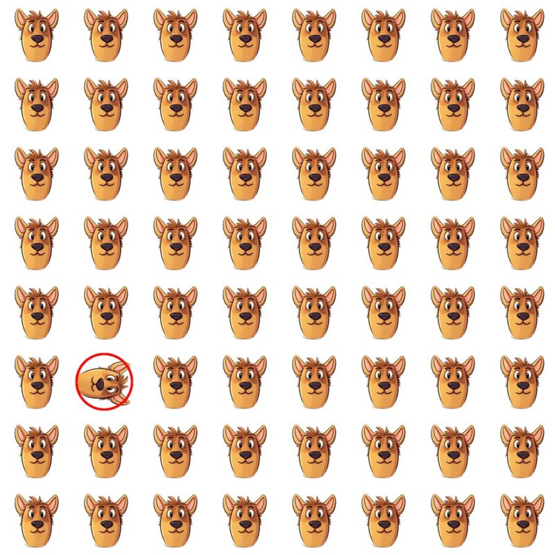 Picture Quiz 4 solution