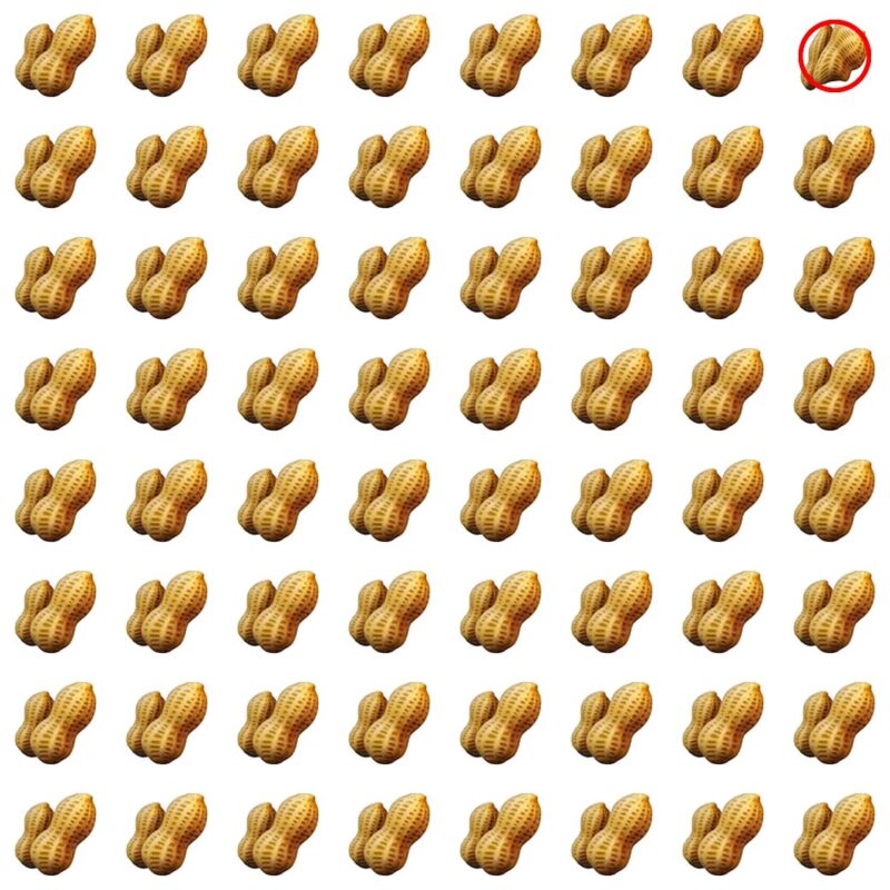 Picture Quiz 4 solution