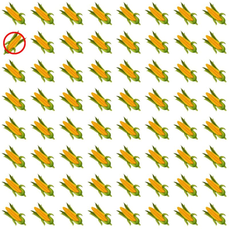 Picture Quiz 4 solution