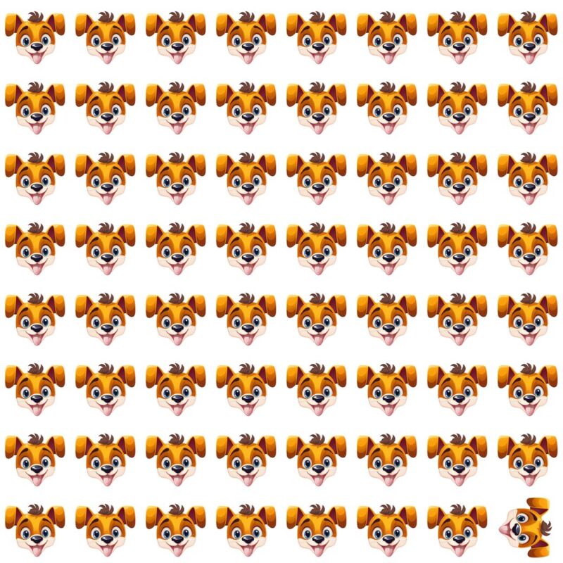Picture Quiz 4