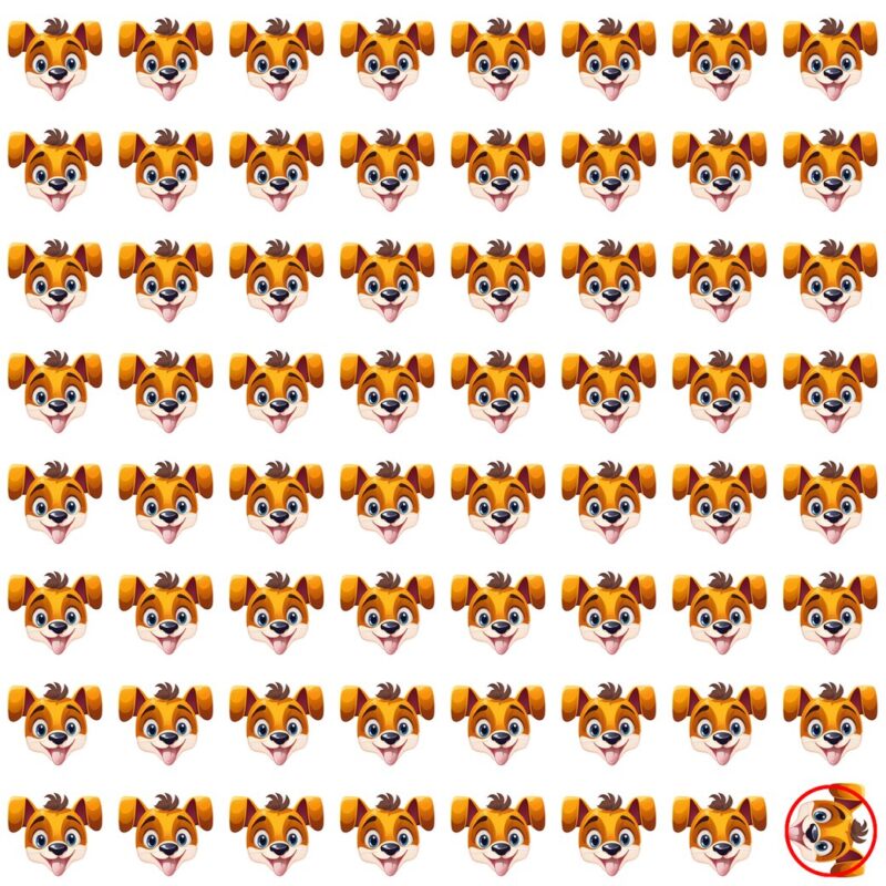 Picture Quiz 4 solution